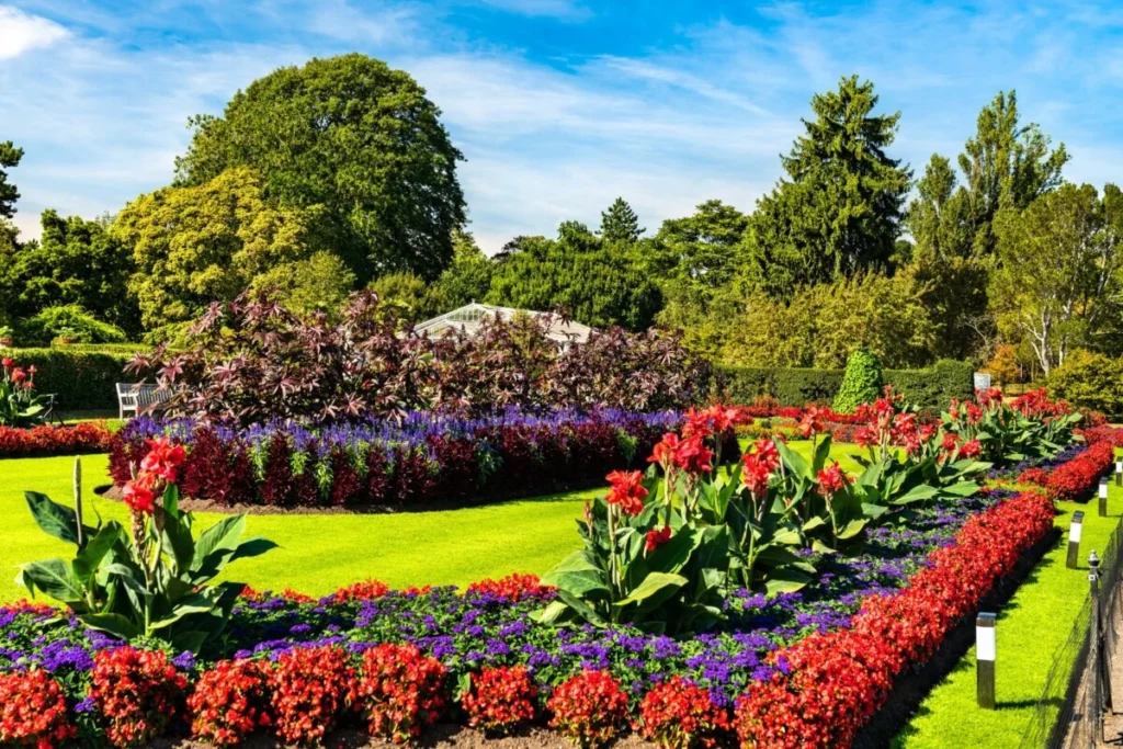 q garden